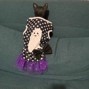Ghost dress tutu  pets ❤️